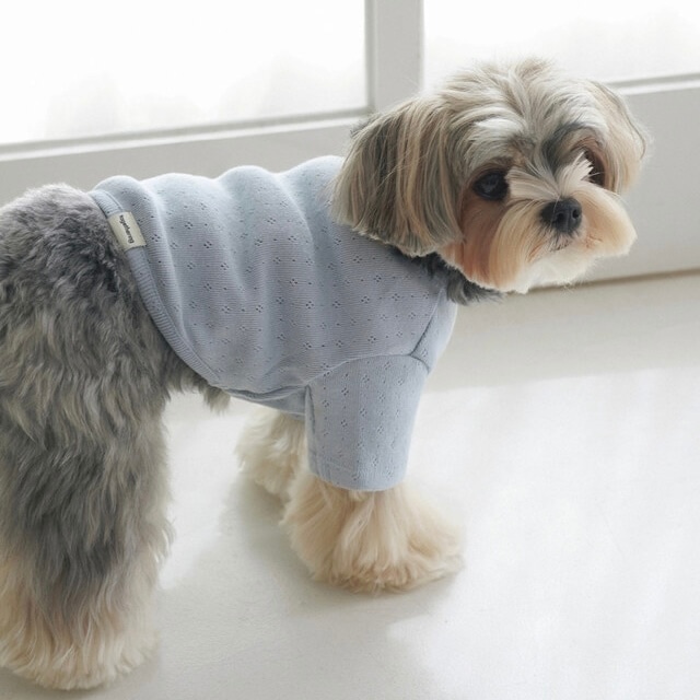 【即納】Eyelet Crop T-shirt｜Light Blue