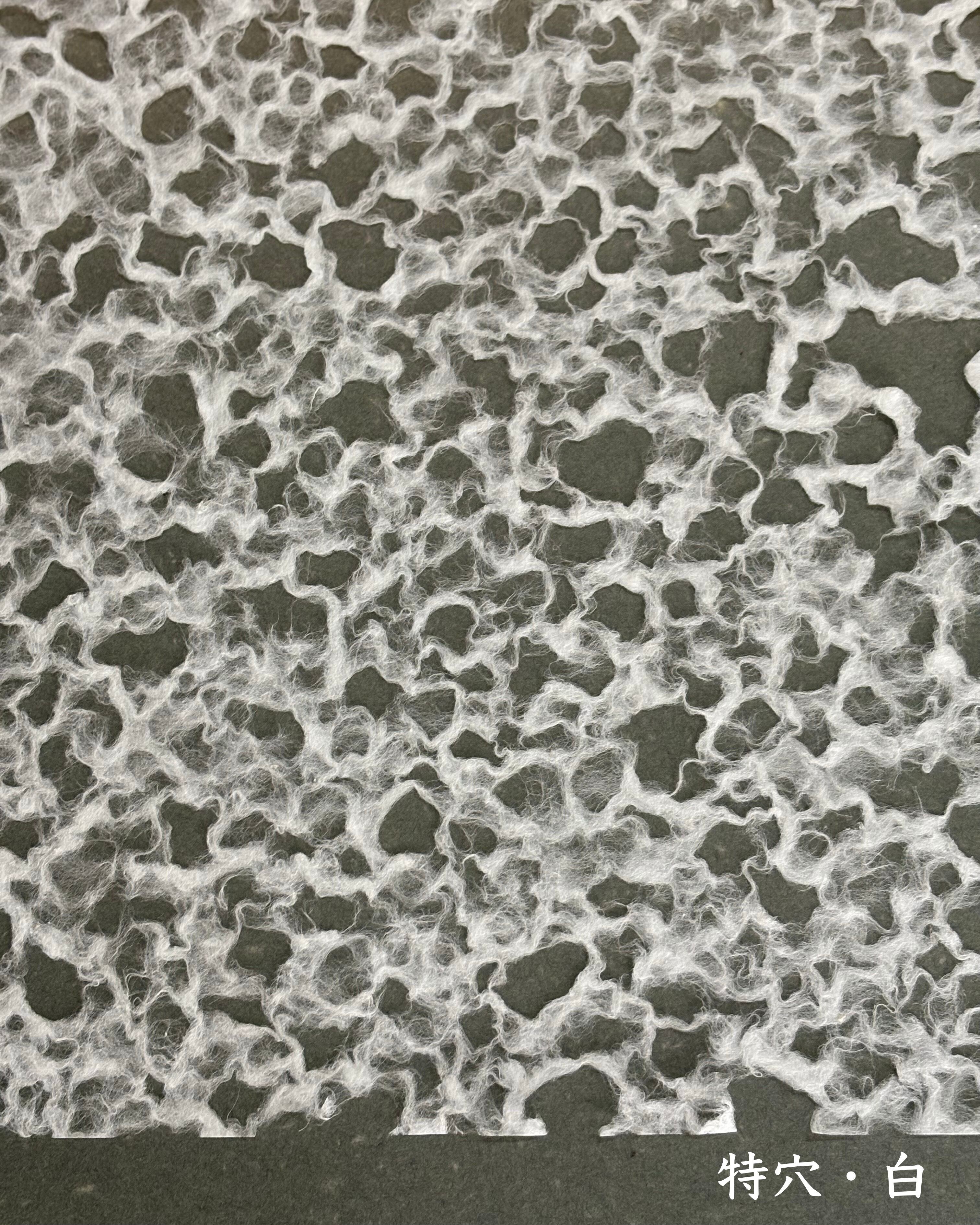 越前和紙 落水紙 特穴・白 | RYOZO