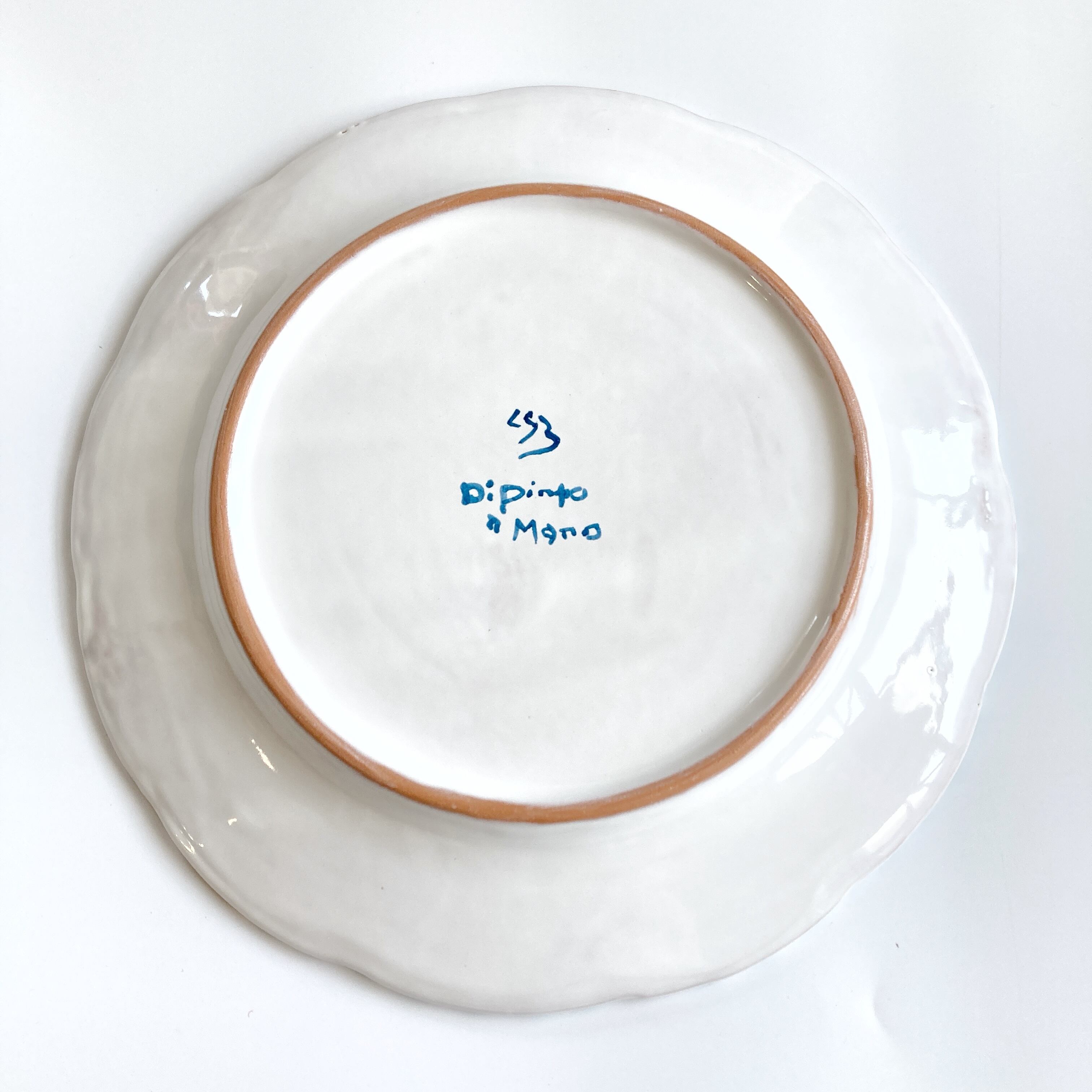 プレート(L) 26cm 海水魚 GEO062 | CERAMICHE SEPPIA325｜イタリア陶器