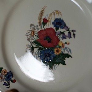 SARREGUEMINES  Plate / サルグミンヌ プレート【D】〈 フランス食器・皿・花リム・フランスアンティーク・アンティークプレート・ブロカント・ヴィンテージ 〉113144