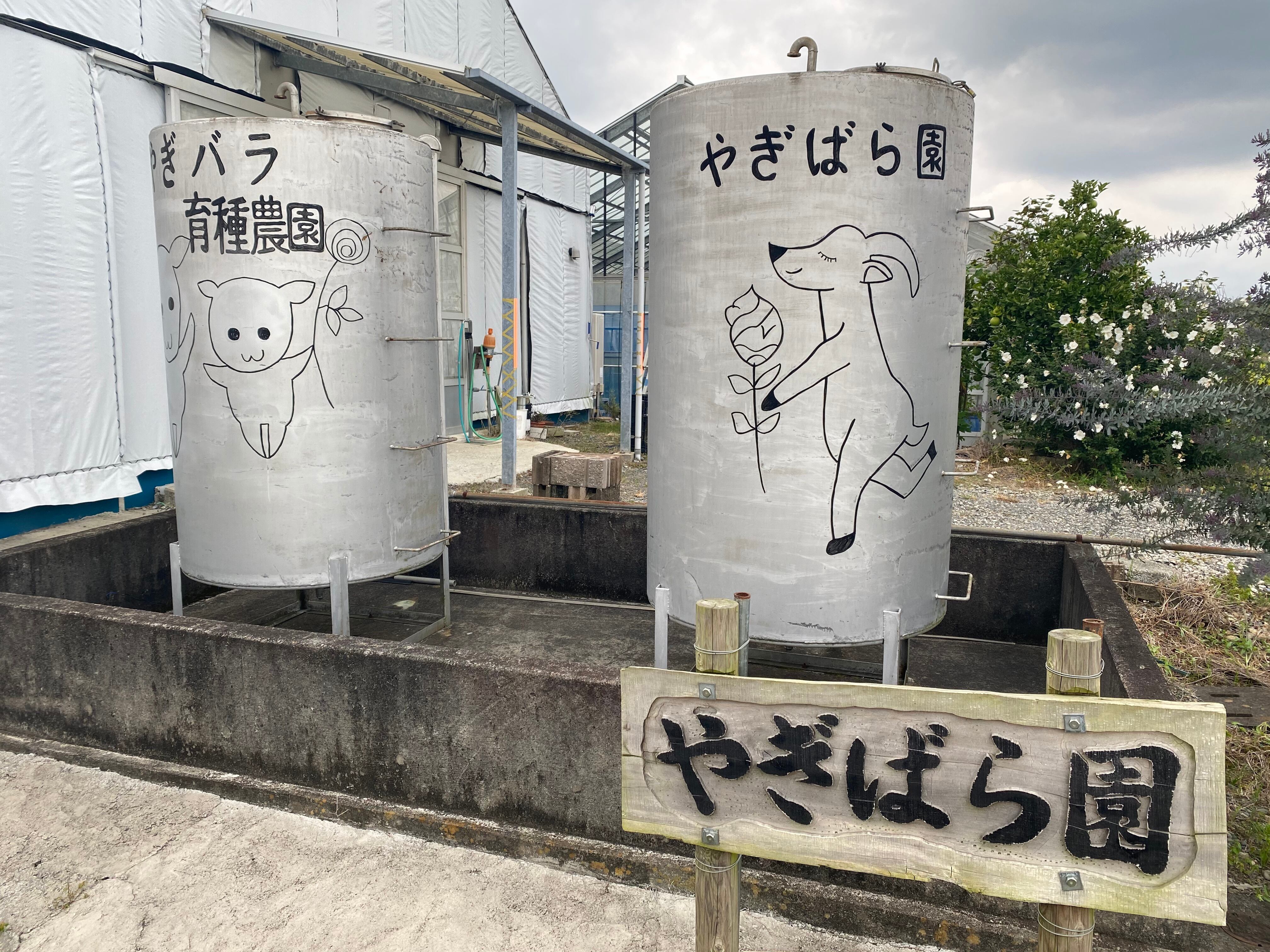 ローズブーケ ヤギパープル よいはな Yoihana 最高品質のお花をお届けするネット通販 ローズブーケ ヤギパープル よいはな Yoihana 最高品質のお花をお届けするネット通販