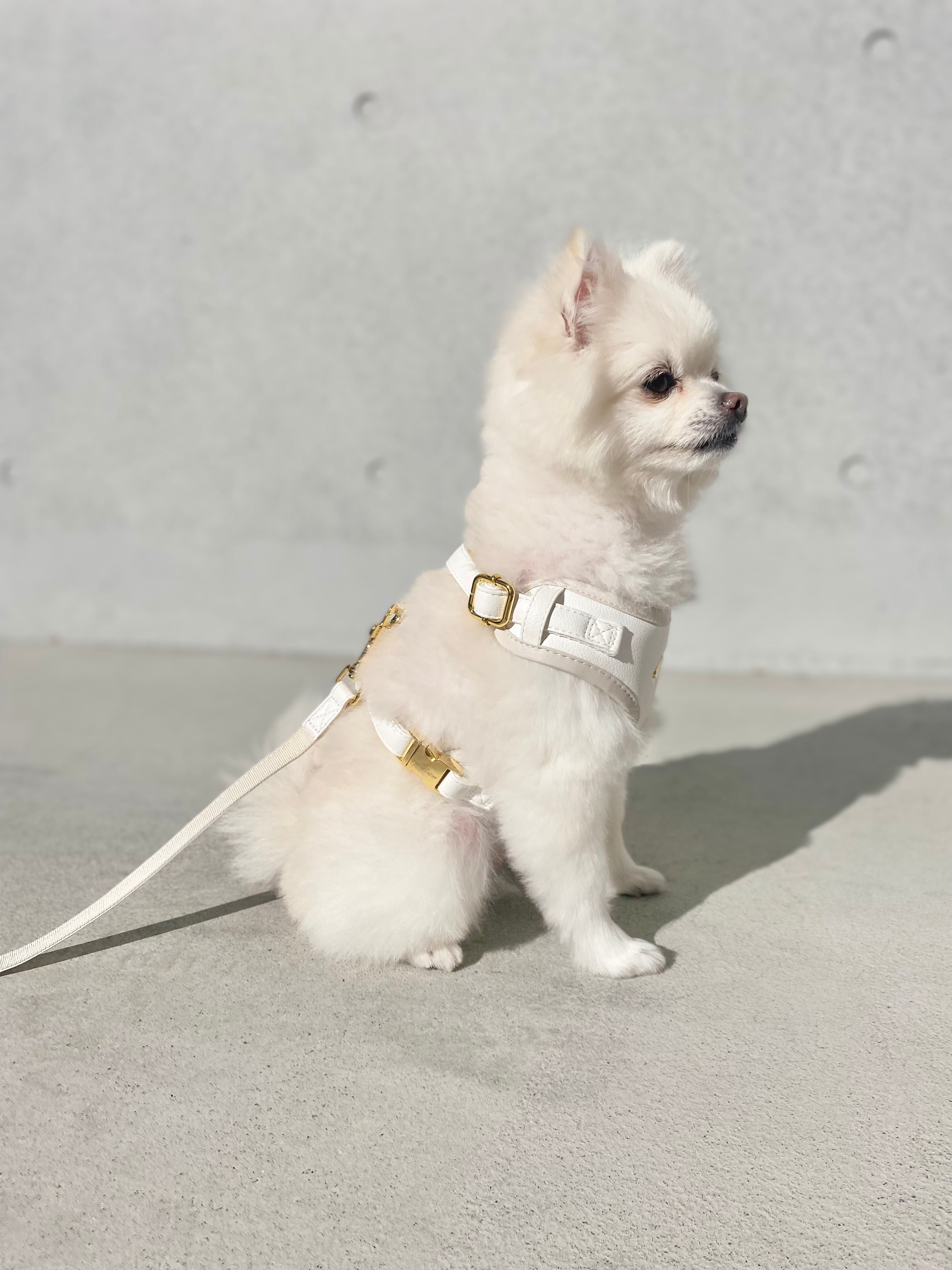 名入れハーネス4点SET | 選べるリボン付き(Snow white) | DoggyWiz