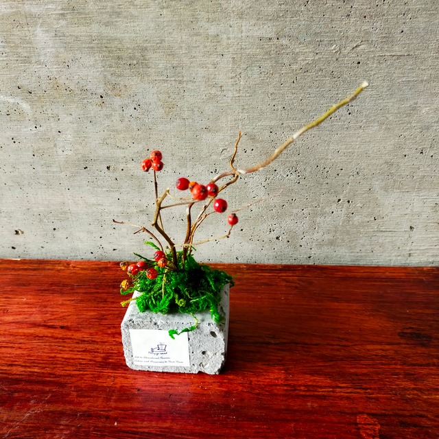 セメントとドライフラワー【Cement and dried flowers】