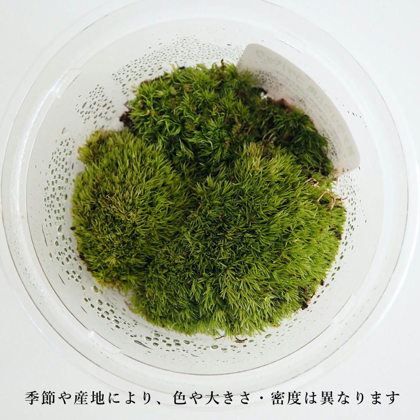 38fa991db8c165574615ad59fe78e0