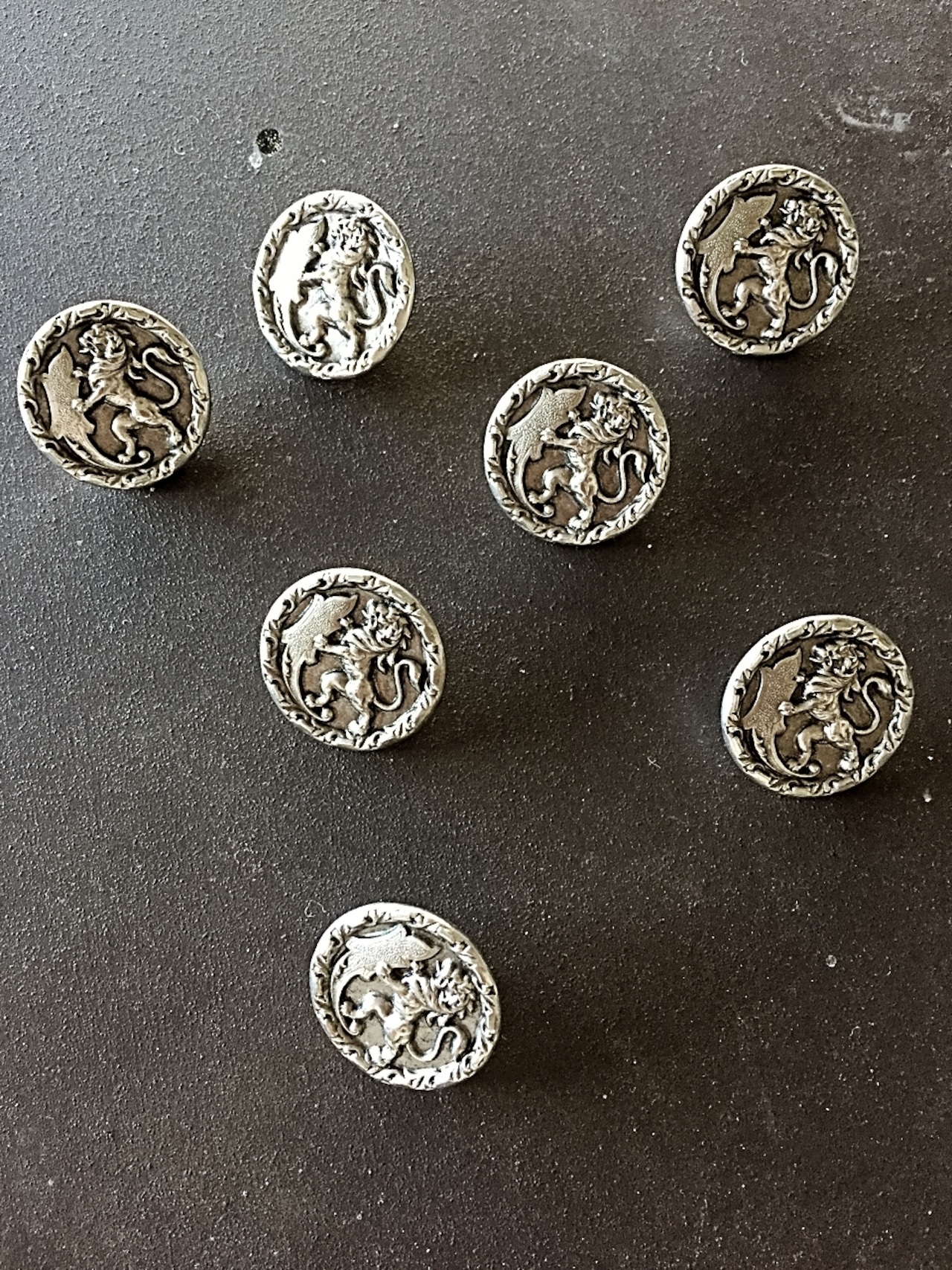 フランス 2.2c 閉じ込められた神話 銀のライオンとメタルボタン アンティーク