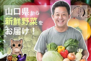 送料込みオーガニック山口の野菜の詰め合わせ