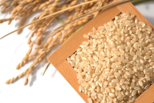 新米 長野県産コシヒカリ 10kg（白米） | Cocoagu