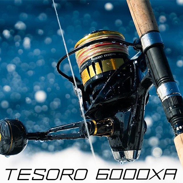 TESORO（テソロ） TSR-6000XA