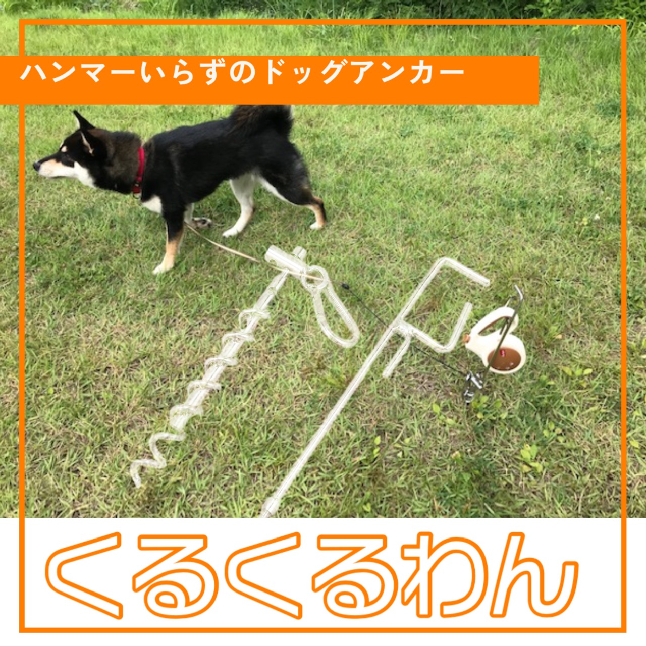 くるくるドッグアンカーセット | ptygrace