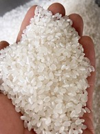 【岩手の特A米！】令和5年産「銀河のしずく」約2kg～