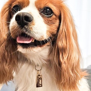 犬用迷子札｜切り抜きデザインのシンプル型オーダーメイド真鍮タグ（名前入り・軽量・個性的・ペンダント＆チョーカー対応）