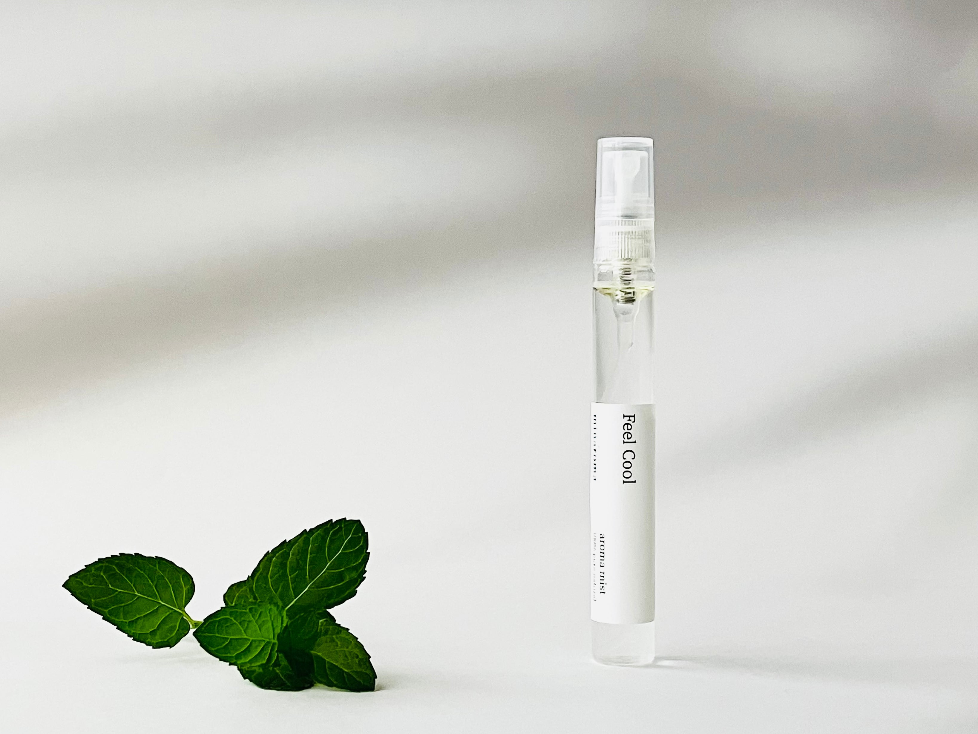 【季節限定】エアミスト 10ml | フィールクール