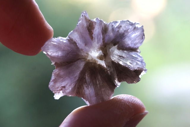 スターアラゴナイト Star Aragonite ②