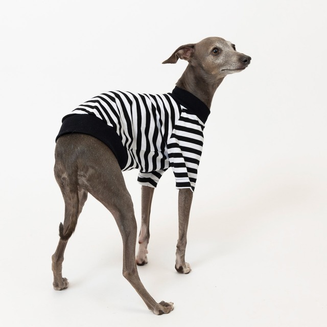 ボーダーTシャツ　black / イタグレ服