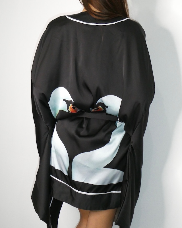 Swan robe / Noblesse oblige