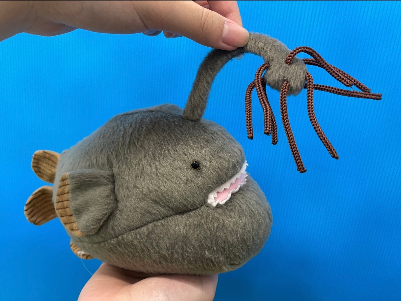 チョウチンアンコウ ぬいぐるみ | 幼魚屋オンラインショップ