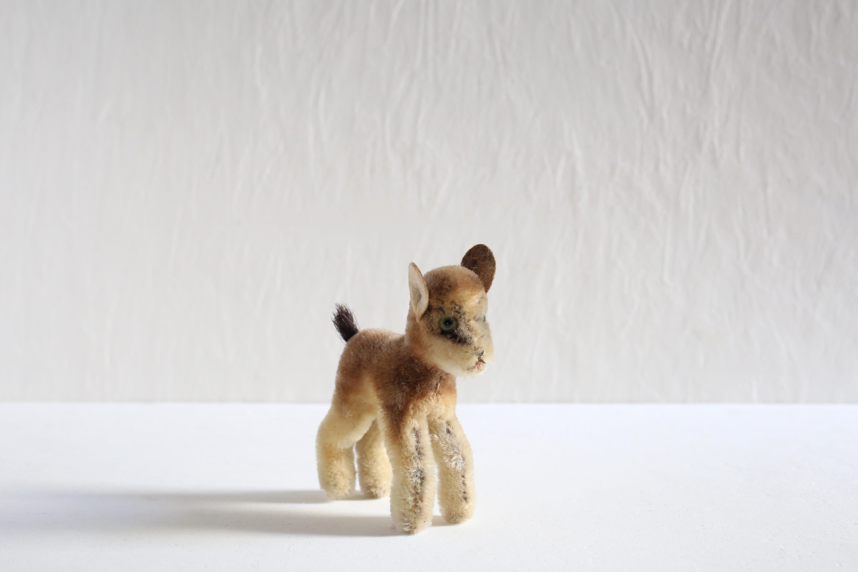 シュタイフ steiff | EMUPARIS