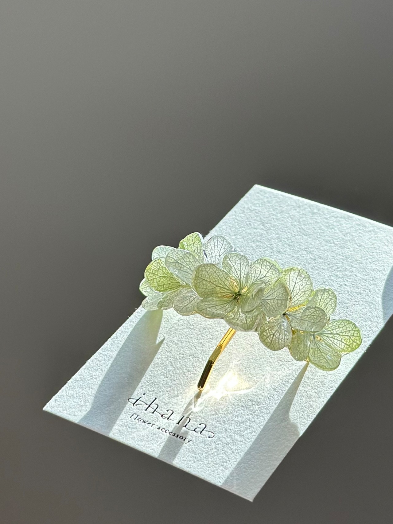 hydrangea ponyhook