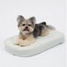 予約【ritogato】Chou Ribbon Buggy Cover-Up Cushion (Removable Cover) - Mint