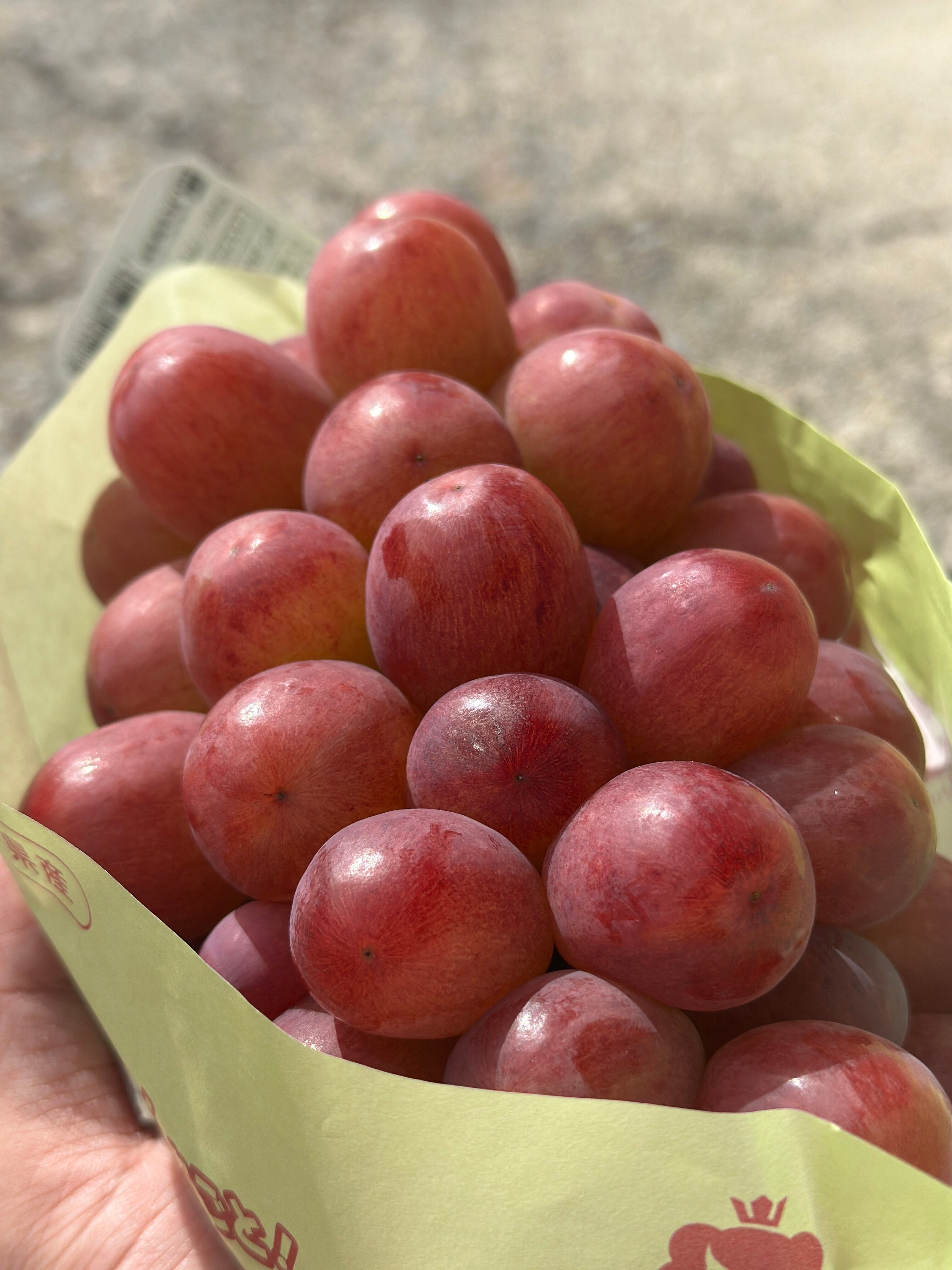 ゆきお　りんご　青森限定　5個セット ゆきお青森 りんご | Pay ID