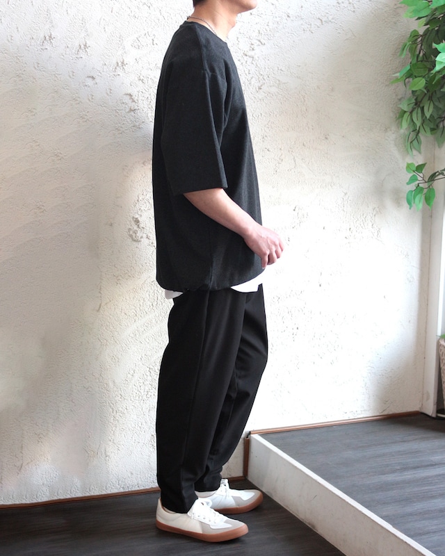 【TMDL】ヘムドローT　(260172)