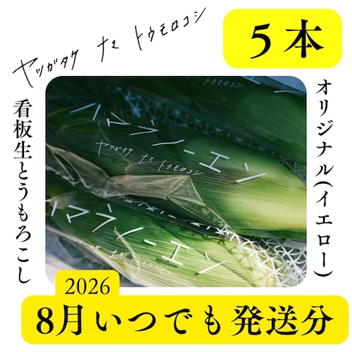 【8月いつでも発送】看板生とうもろこし5本
