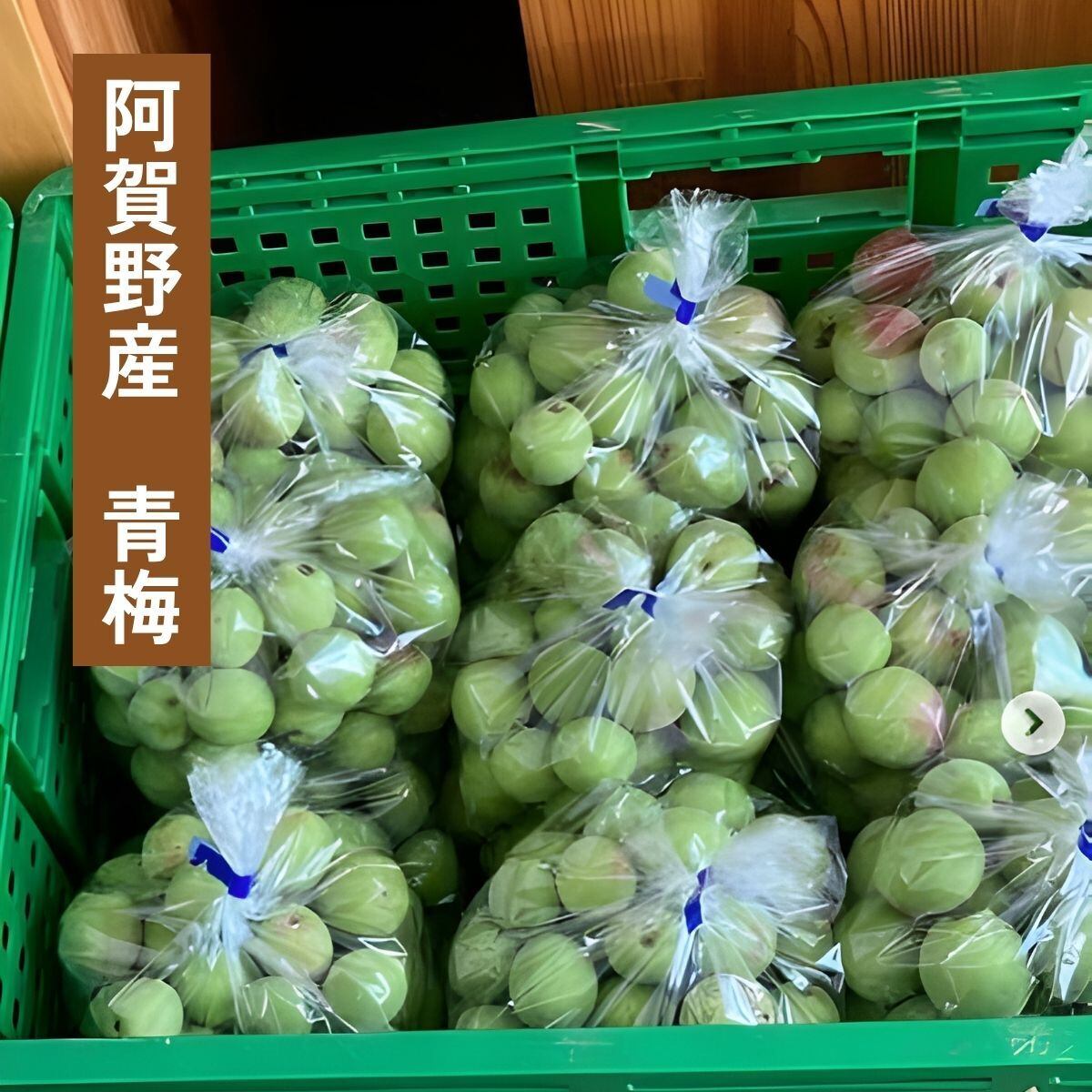 6月の朝採り直売野菜 ： 梅干し用生梅 約 1キロ 6月中旬発送予定