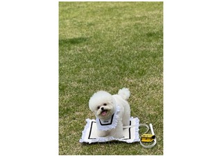 予約【curum】ラブリーマット　予約販売