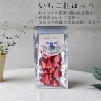 いいものセレクション和紅茶セット（5種セット特製BOX入り）【無添加•岡山県産】ドライフルーツ王様のおやつ
