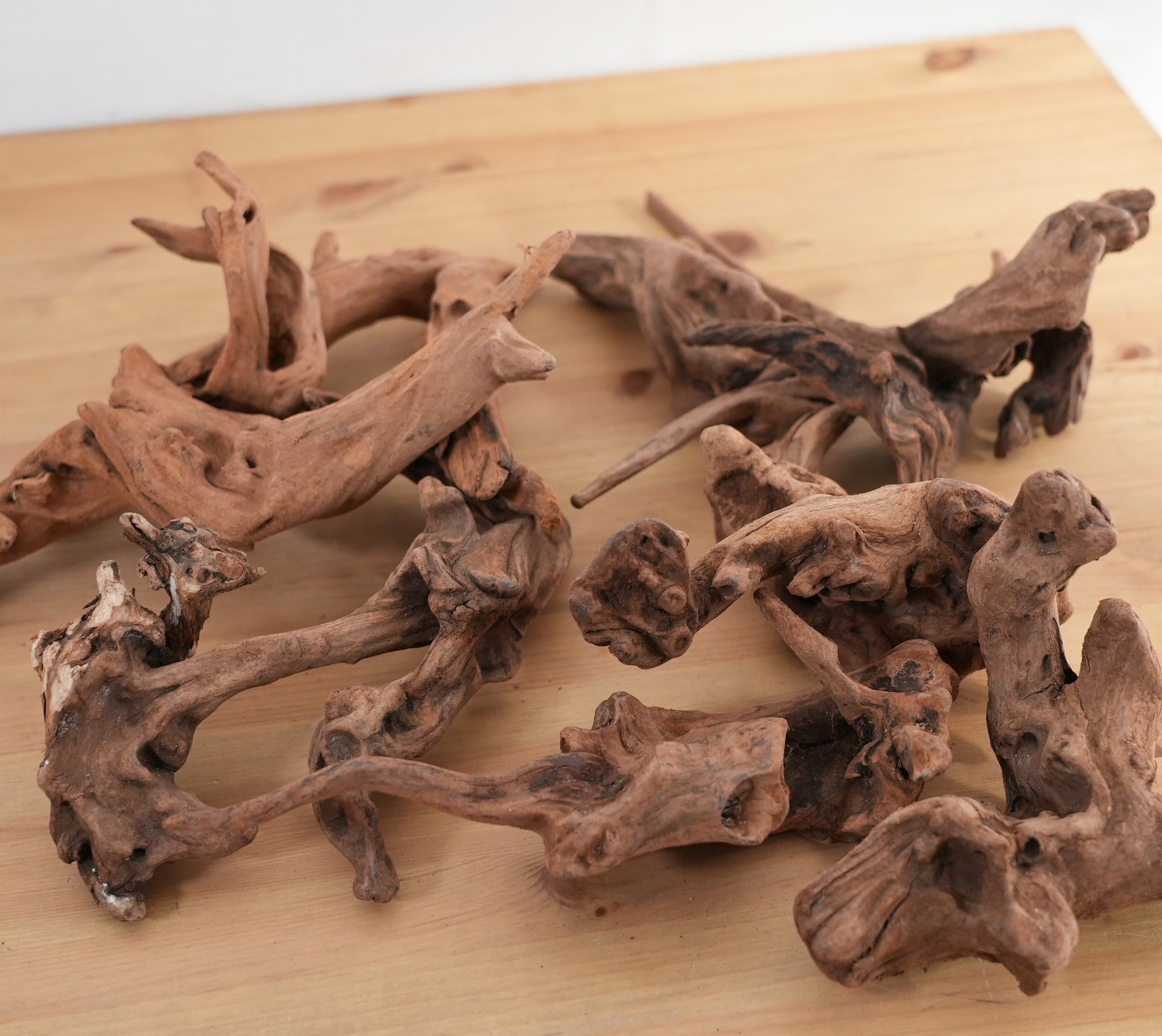 テラリウム用マングローブ系流木◇形状おまかせ | 苔テラリウム専門