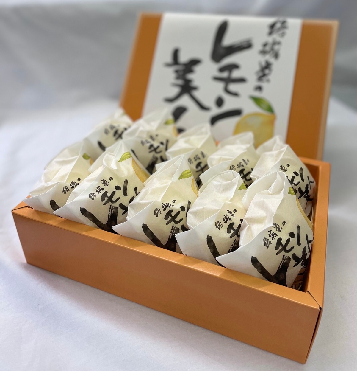 大木産業 楊貴芝 霊芝ドリンク 