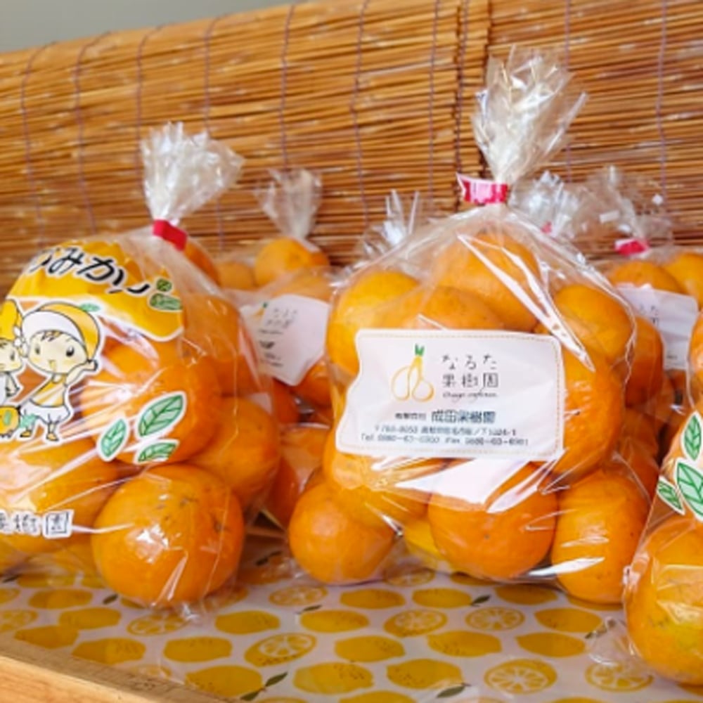 すくも特産品マルシェ7周年記念価格】成田果樹園の温州みかん5kg