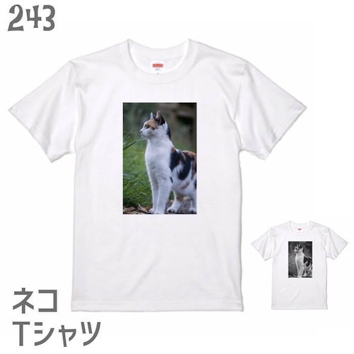 ネコTシャツ＃13　「フォトT ミケネコ」