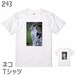 ネコTシャツ＃13　「フォトT ミケネコ」