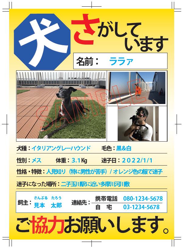 迷子犬チラシ印刷（黄）-1,000枚