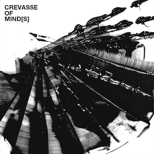 CREVASSE OF MIND[S] vinyl 12 inch / Download Code 付