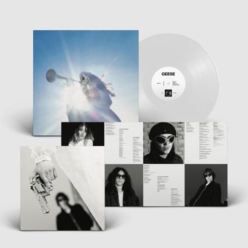 Wednesday / Bleeds (LP) | Record Shop BAGISM