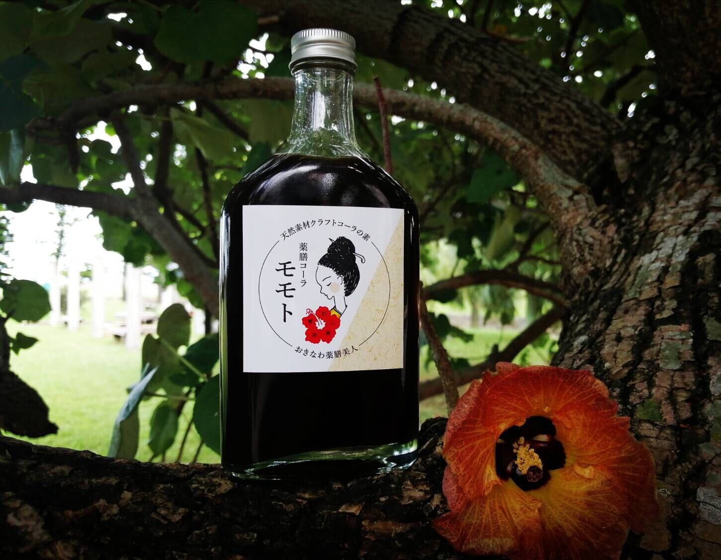 3935ebb4793f82fad87e7094c1c826