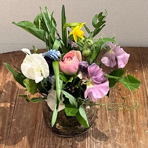 春待ち　球根  set