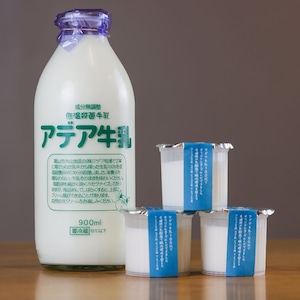 【定期便】 【冷蔵発送】低温殺菌アデア牛乳の里山のヨーグルト（小）　10個入り