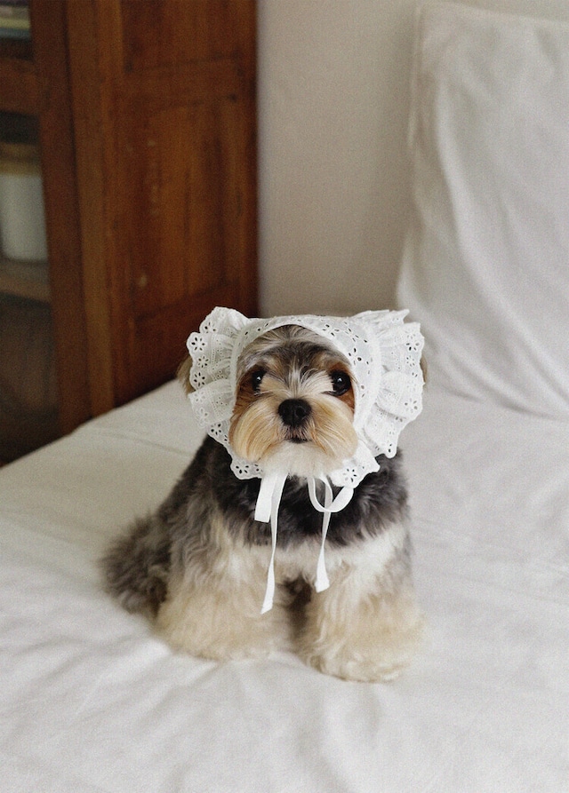 〈 予約アイテム 〉OHDIBS / Manon Kerchief(マノン・カーチフ)