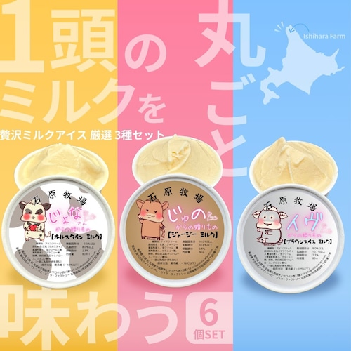 1頭のミルクを丸ごと味わうアイスクリーム(6個セット)