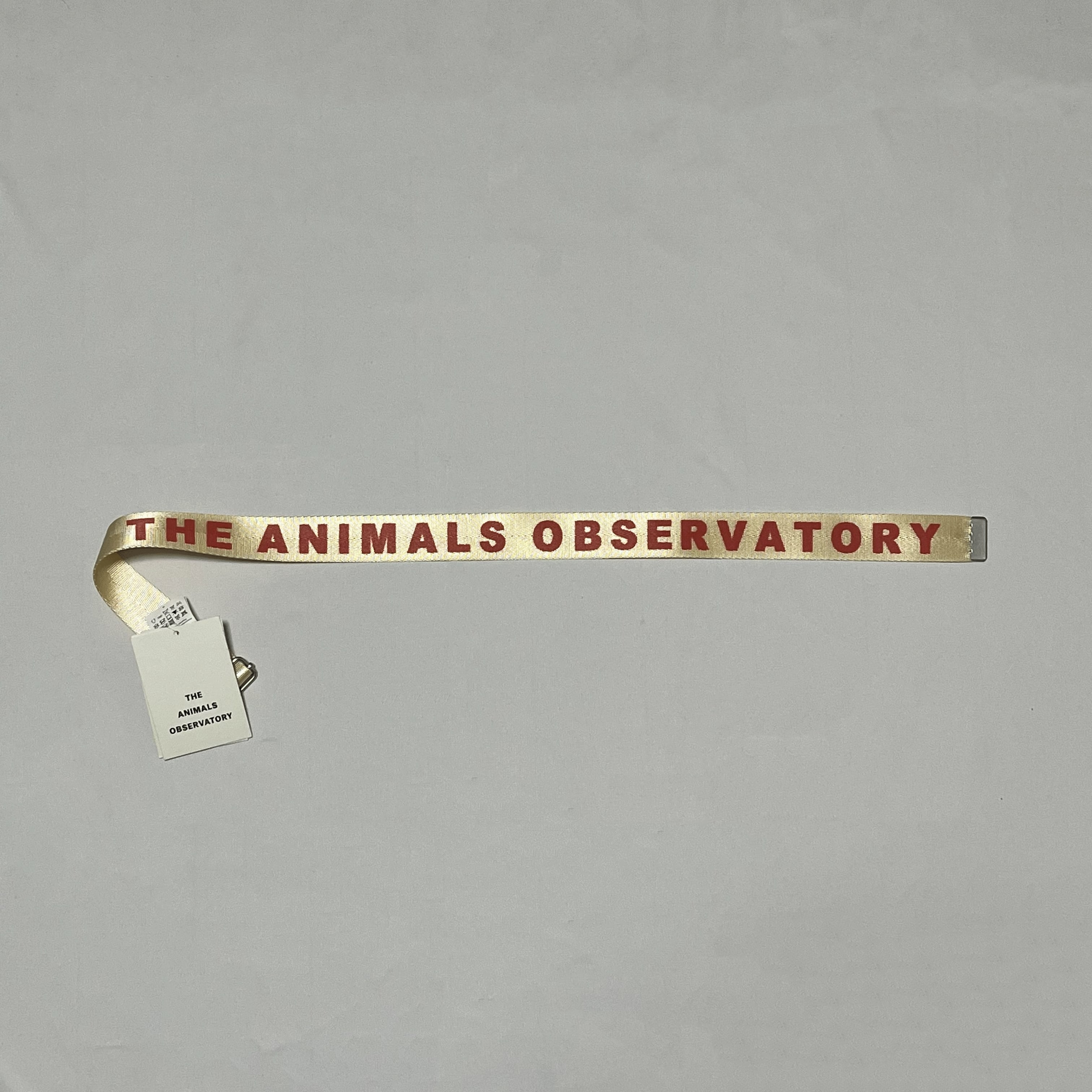 t*t様 the animals observatory Felt Belt B 3941d4856d277482014d2d3b4a79dd