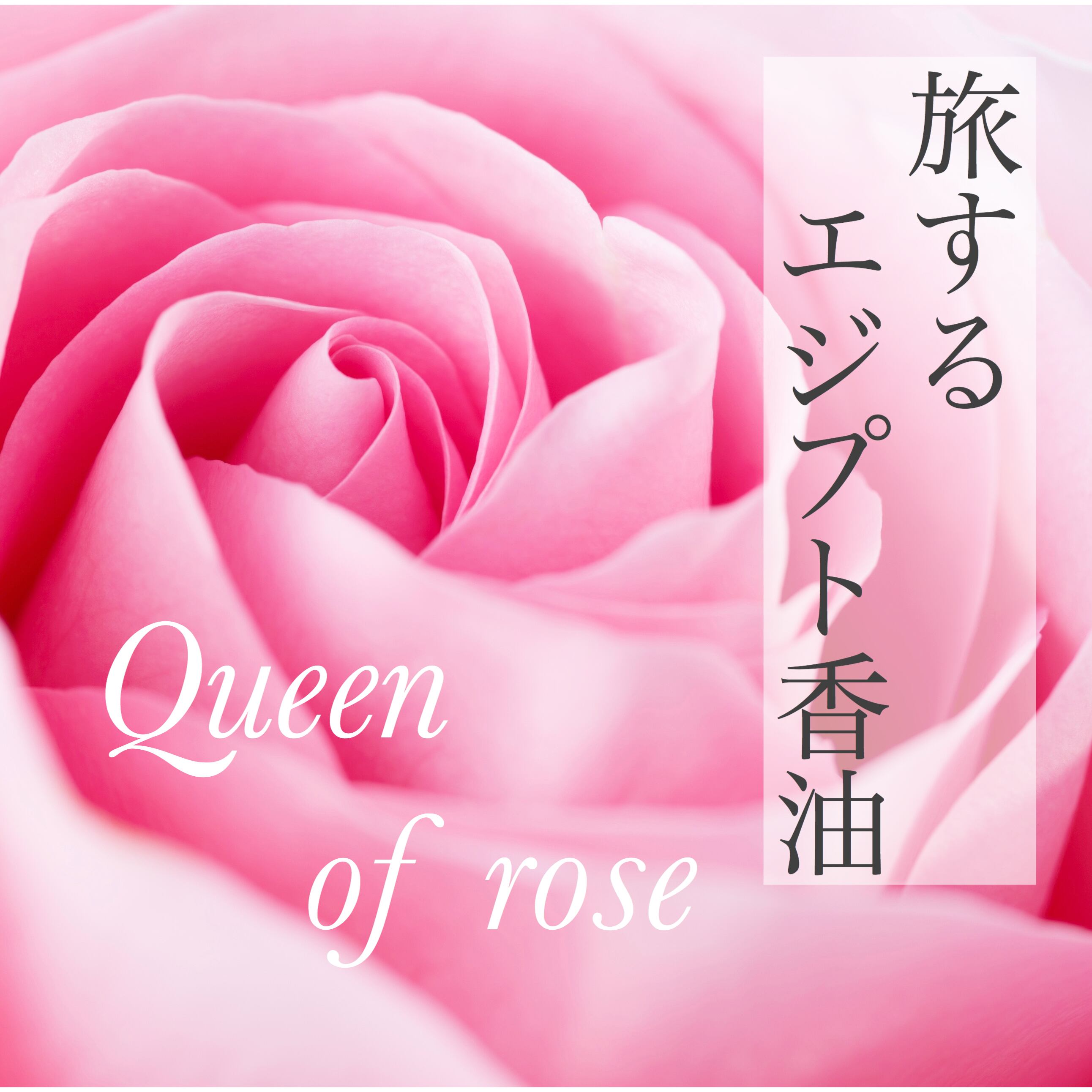 エジプト 香油 ローズ 薔薇 香水 エジプト 香油 ローズ 薔薇