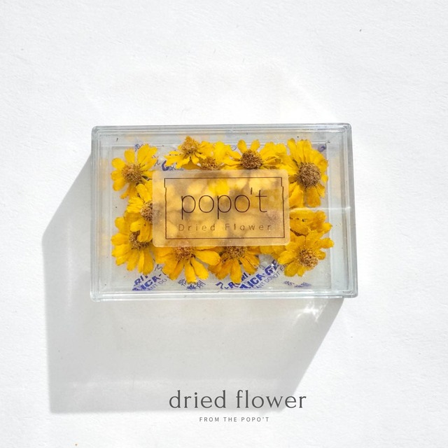 dried flowers shop .by popo't