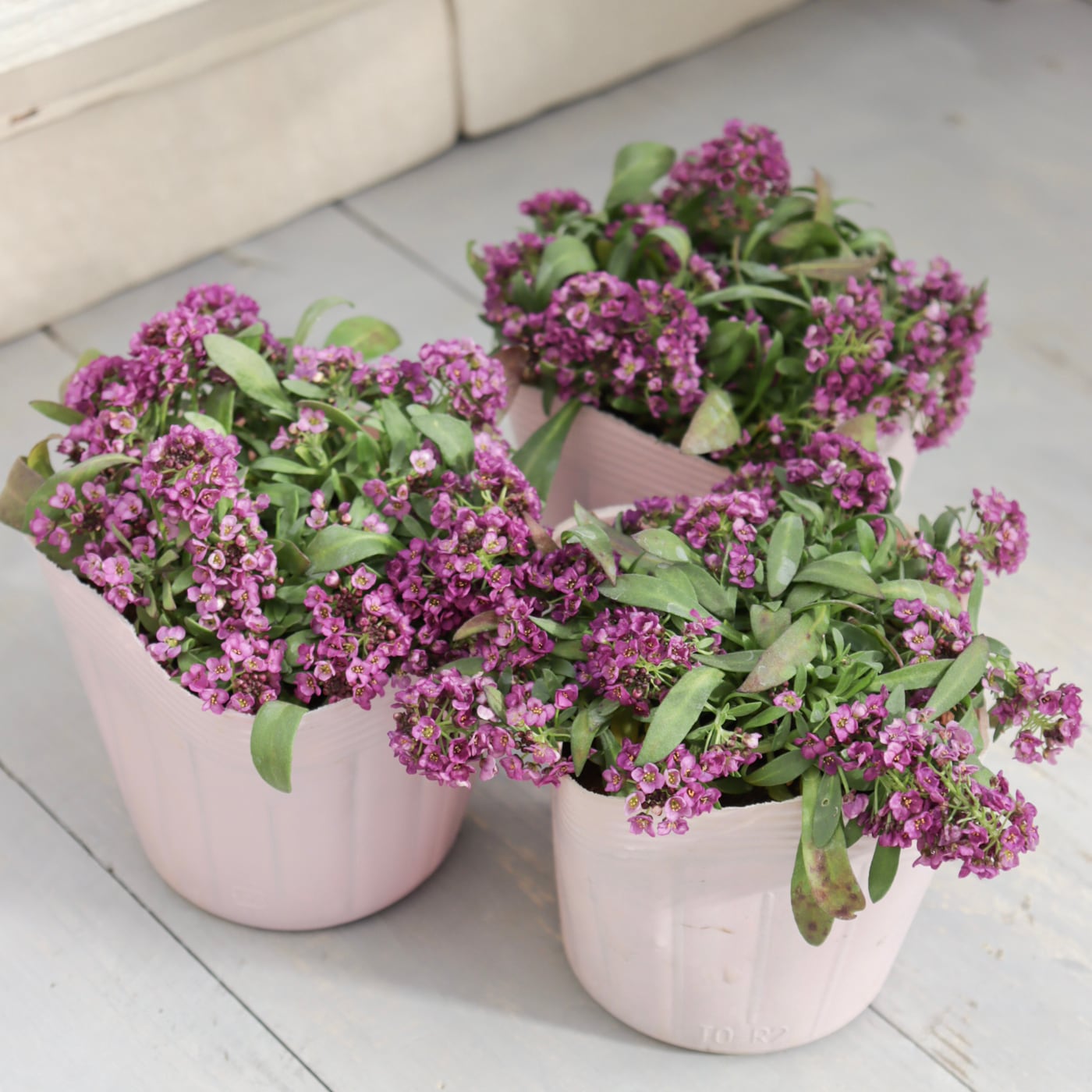 Green heartꕥオンラインショップ