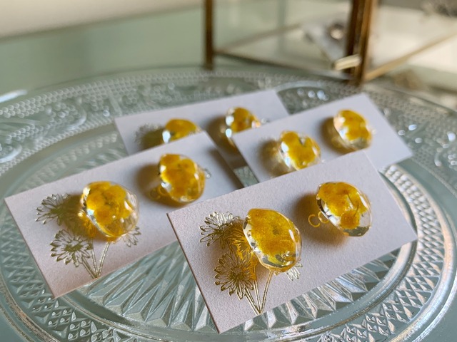 感謝とやさしさを、そっと耳元に。生花ミモザを閉じ込めた一粒レジンイヤリング／ピアス