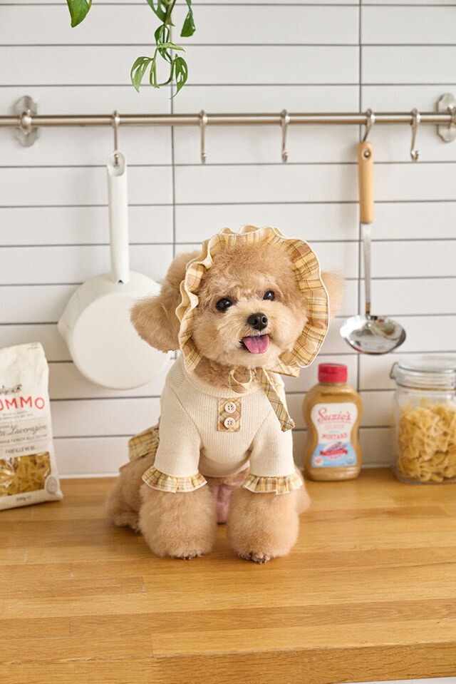 リボンティー　×　(BLACK)