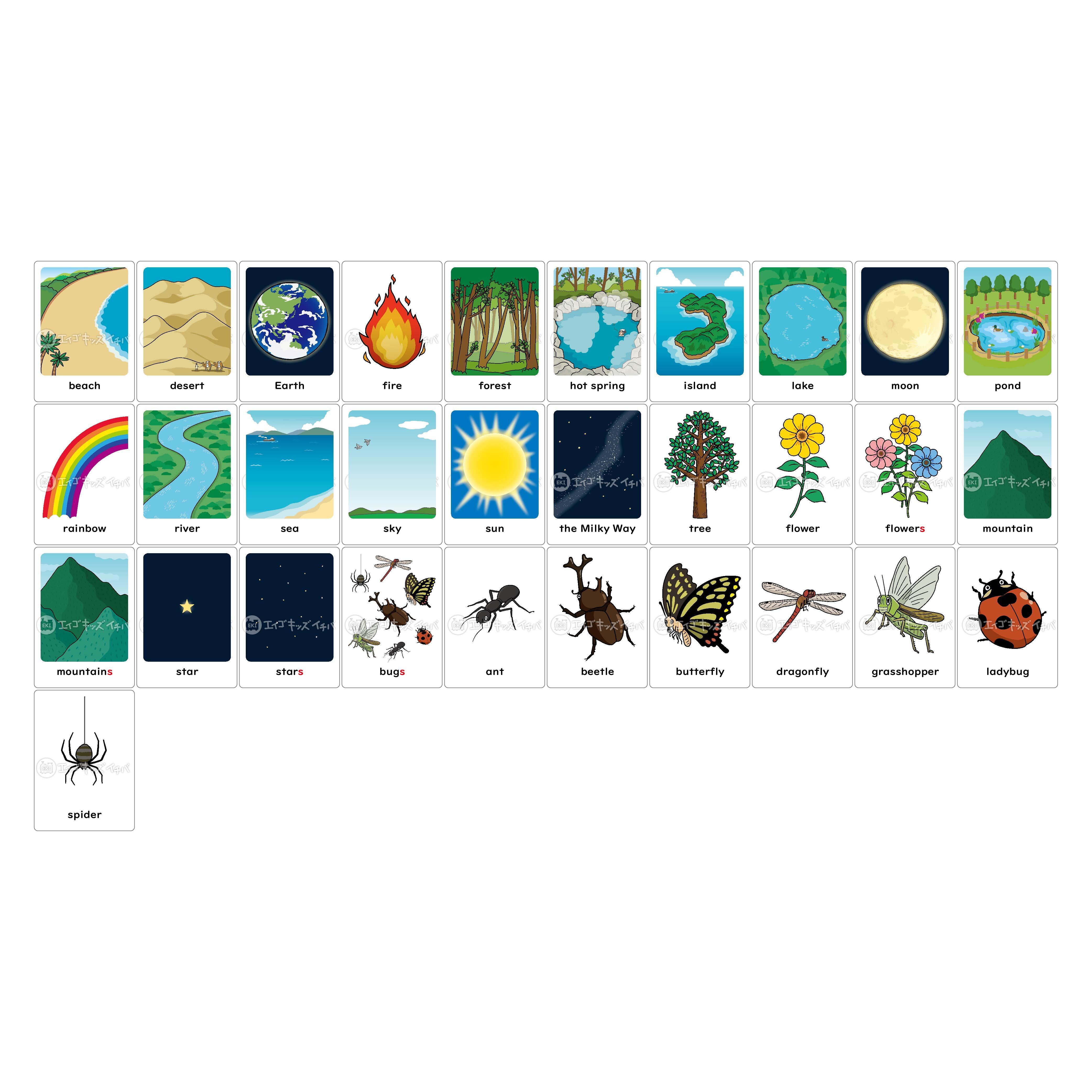 ラーニング リソーシズ 英語教材 英単語 フォトカード 156枚入り LER6079 ラーニング リソーシズ 英語教材 英単語 フォトカード 156枚入り