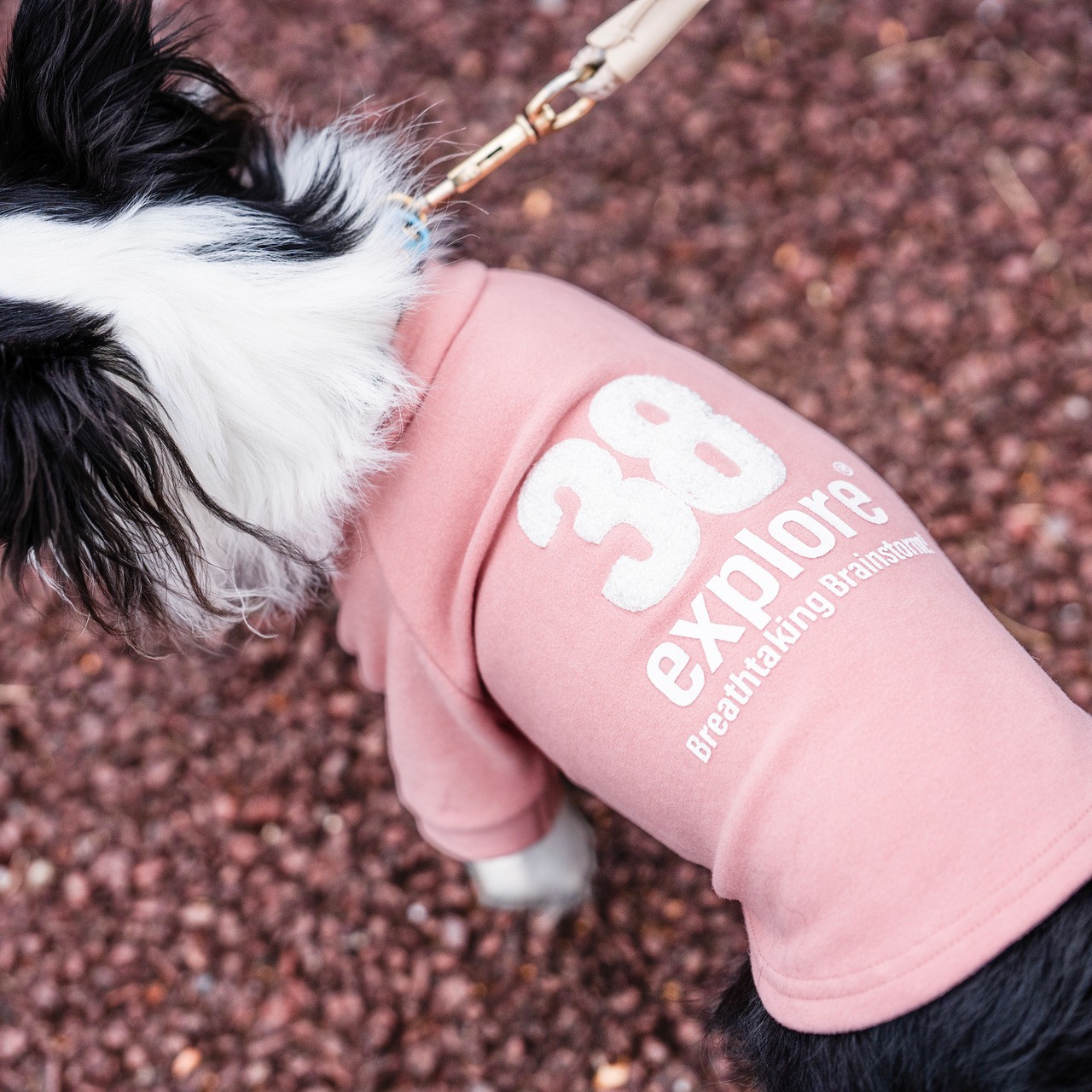 38DOG LOGO EMBROIDERY TEE / PINK